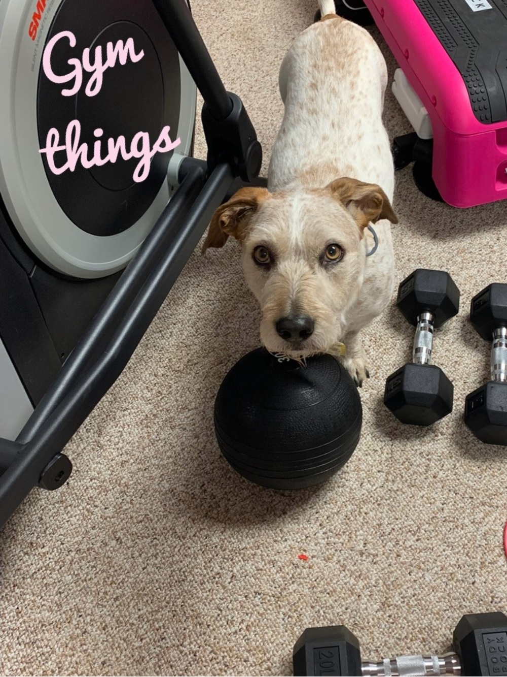 Gym things!